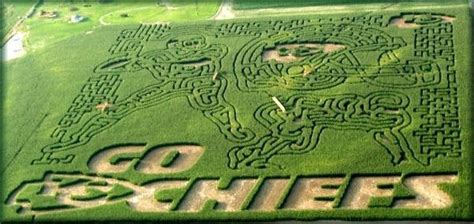 Fun at Liberty Corn Maze and Carolyn's Pumpkin Patch | Corn maze, Corn ...