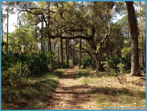 LAKE KISSIMMEE STATE PARK MAP FLORIDA - TravelsFinders.Com