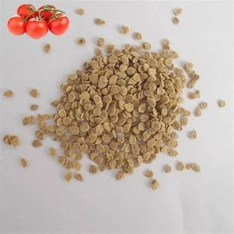 Dried Organic Tomato Seeds, Packaging Type: PP Bag, Packaging Size: 1 Kg at Rs 750/kg in Deesa