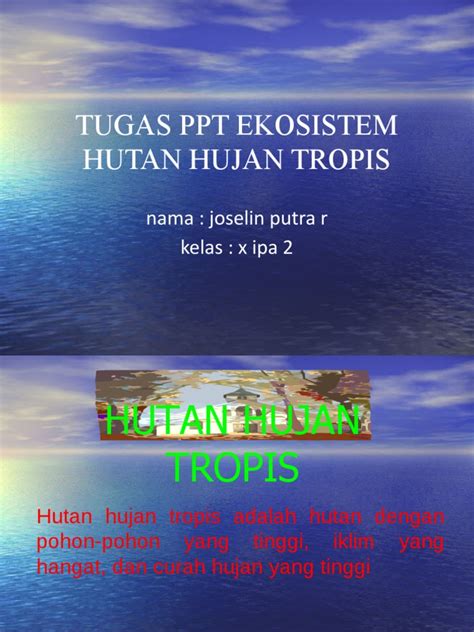 HUTAN HUJAN TROPIS | PDF