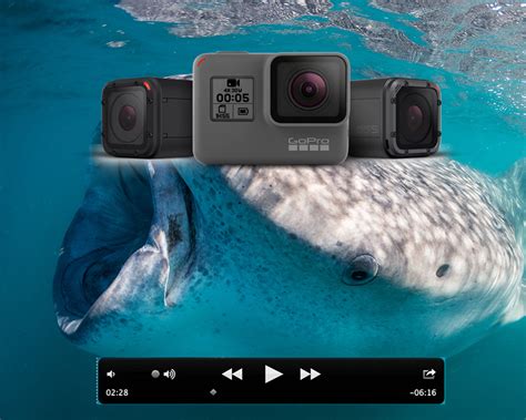 Beginner's Guide to GoPro for Underwater Video |Underwater Photography ...