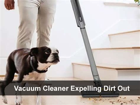 Why Shark Vacuum Roller Brush Starts Then Stops | Complete Guide - VacuumCleanersMag