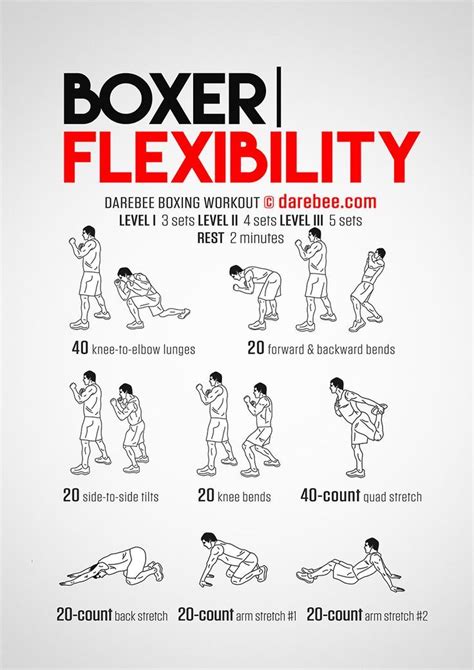 Boxer Flexibility Workout Concentration - Full Body | Entrenamiento de ...