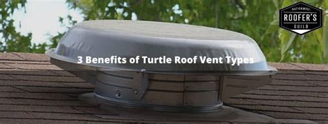 3 Benefits of Turtle Roof Vent Types in 2024