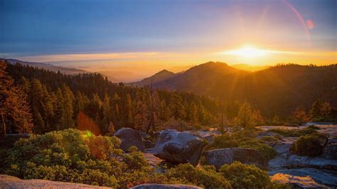 Sequoia National Park Wallpapers - Top Free Sequoia National Park Backgrounds - WallpaperAccess