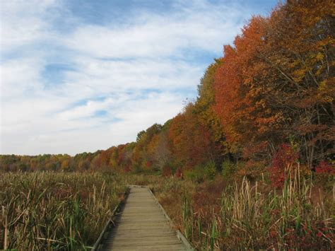 Huntley Meadows in Fall Colors | Taken at Huntley Meadows in… | Flickr