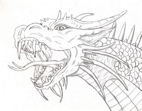 Dragon Scales Drawing at GetDrawings | Free download