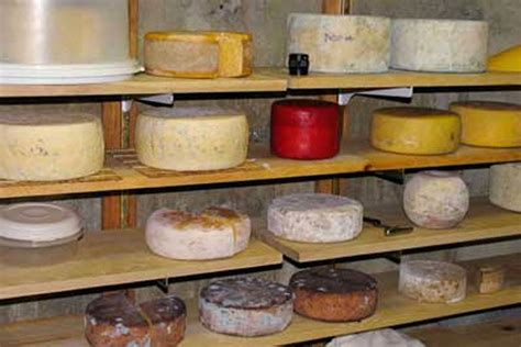 Aging Cheese FAQ | Make Cheese at Home | Cheese Making Supply