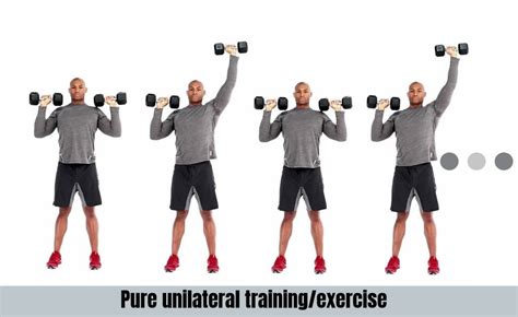 Unilateral training: Pros & Cons • Bodybuilding Wizard