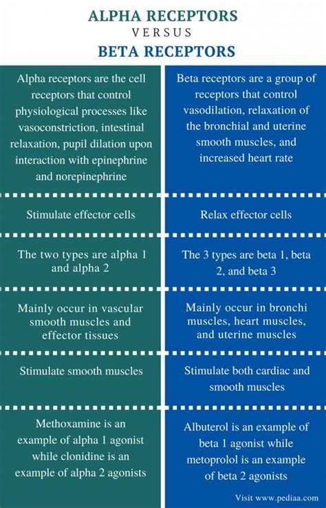 Difference Between Alpha and Beta Receptors | Definition, Mechanism, Role, Differences ...