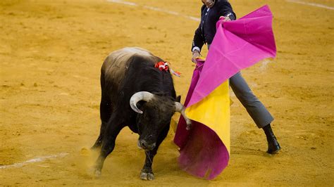 Watch: Four injured when angry bull jumps into crowd during bullfight in Peru | Fox News