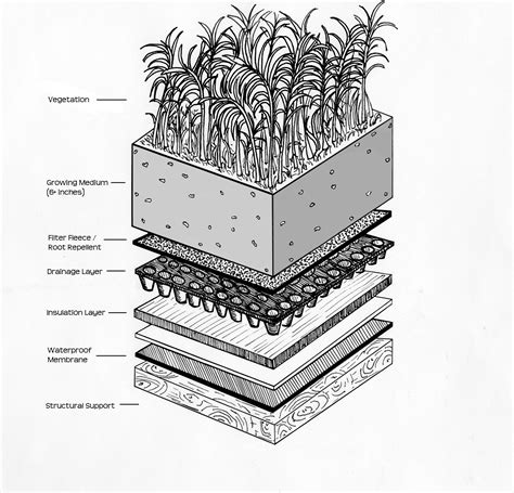 Green Roof Plan Drawing - Image to u