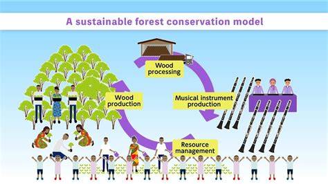 Sustainable Forest Conservation Project in Tanzania - YouTube