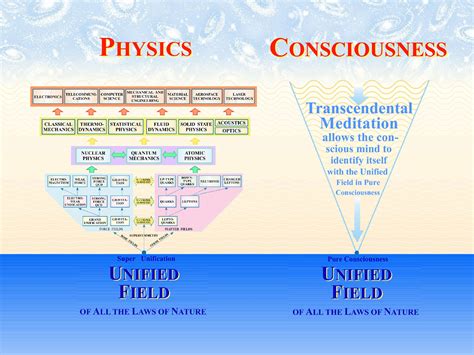 Collective Consciousness And Meditation: Are We All Interconnected by an Underlying Field ...