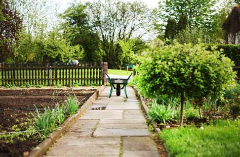 Garden Maintenance Tips: 10 Steps to a Beautiful Garden﻿ | SmartKela