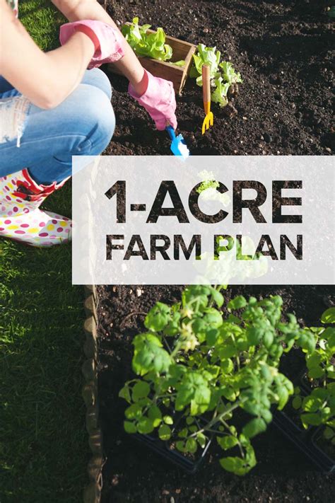 1-Acre Farm Plan: Here's What to Plant, Raise, and Build on Smaller Land