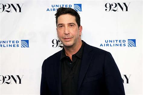 David Schwimmer Plastic Surgery: Delve Into the Buzz Surrounding His ...