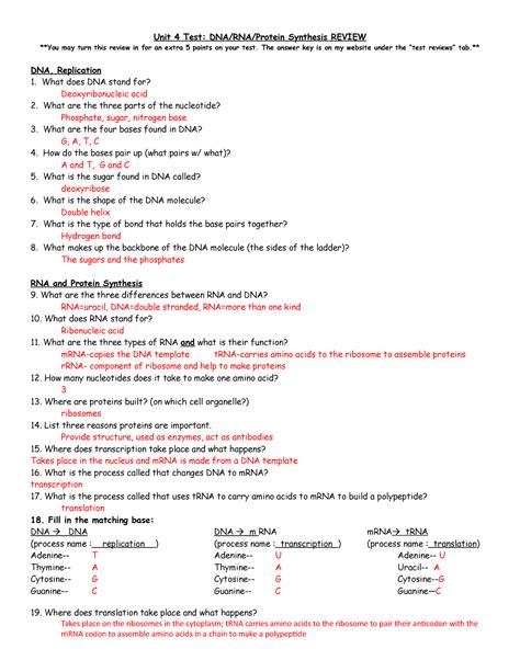 Unit 4 review- DNA-RNA Review ANswers - HORT 1000 - CGTC - Studocu