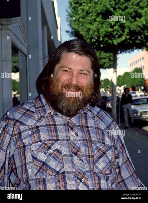 BRIAN WILSON of the Beach Boys about 1980 Stock Photo - Alamy