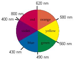 Complex Color Wheel