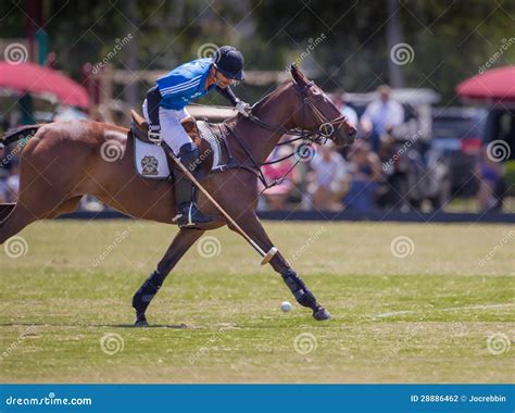 Sarasota Polo Club in Action Editorial Photography - Image of horsemen ...