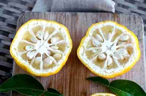 Yuzu who? A best kept secret in aromatherapy! - JennScents, Inc.