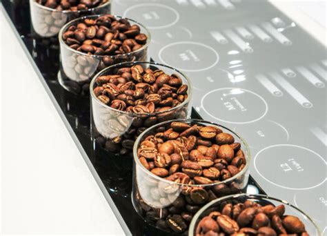 BeansCafe – Coffee is our common ground, a universal experience.