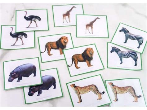 Free Printable Safari Animal Matching Cards - The Purposeful Nest