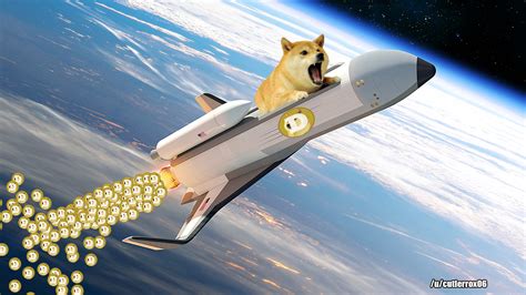 To the Moon! : r/dogecoin