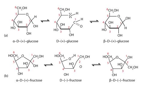 16.4 Cyclic Structures of Monosaccharides | The Basics of General, Organic, and Biological Chemistry