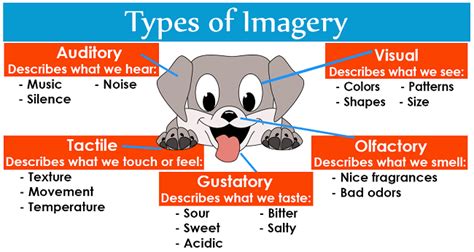 IMAGERY - Assessment