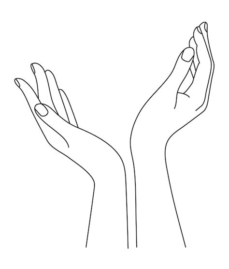 Premium Vector | Hands aestetic line drawing. Arm in simple linear ...