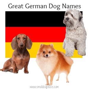 Best German Dog Names