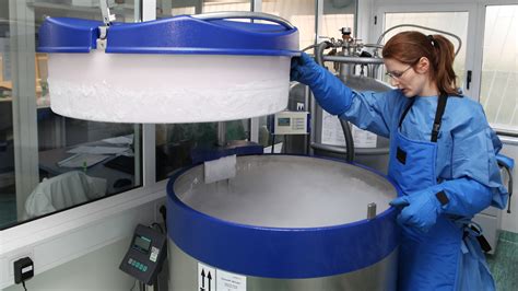 A Glimpse At Cryogenics: The Science Of Very Low Temperatures - Cooling heating services