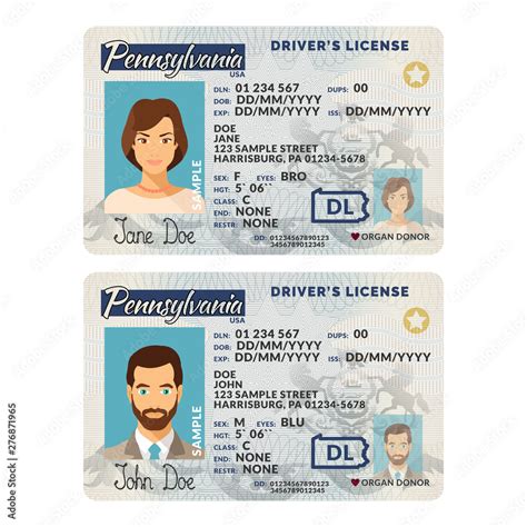 Vector template of sample driver license plastic card for USA Pennsylvania Stock Vector | Adobe ...