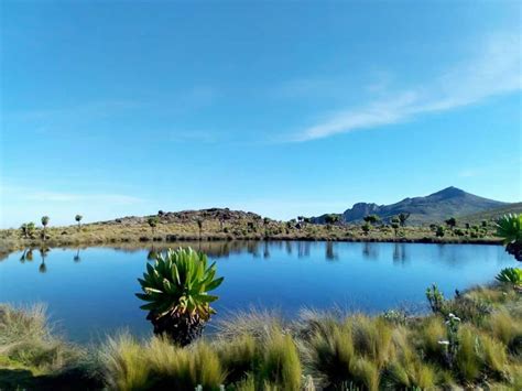 Mount Elgon Caldera. Visit Mount Elgon Caldera