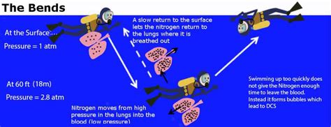 How To Avoid Decompression Sickness - Northernpossession24