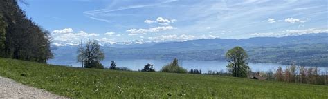 Pfannenstiel Trail: Forch - Meilen, Zurich, Switzerland - 68 Reviews, Map | AllTrails