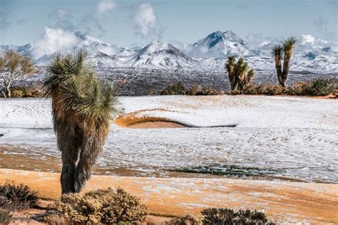 Arizona Desert Snowfall Takes Internet By Storm With Gorgeous Pictures