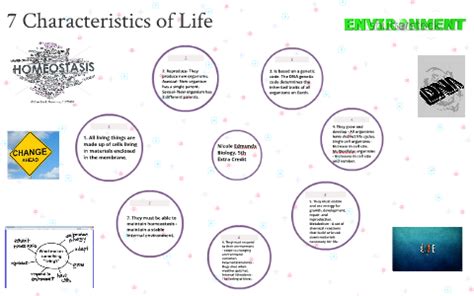 7 Characteristics of Life by Silvia E on Prezi