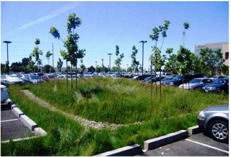 Rain Gardens and Bioretention Areas – A Quick Guide to Post ...