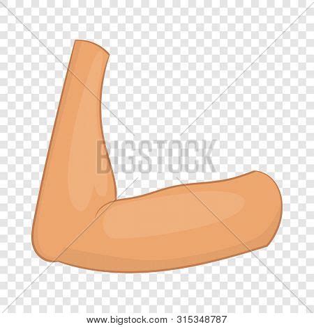 Elbow Icon. Cartoon Image & Photo (Free Trial) | Bigstock