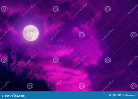 The Landscape is Full Moon of Proton Plastic Purple Pink Clouds Stock ...