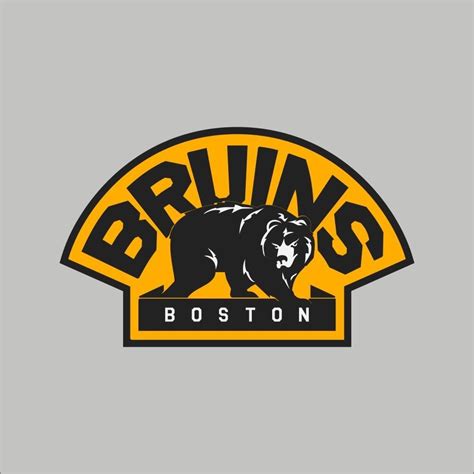 the boston bears logo on a gray background