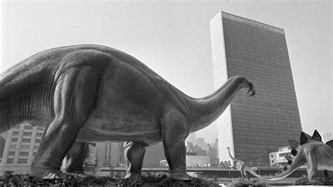 Brontosaurus confirmed by researchers as a distinct dinosaur - ABC7 San Francisco