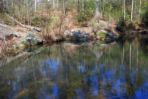 Shenandoah Wildlife Preserve | Virginia Estates