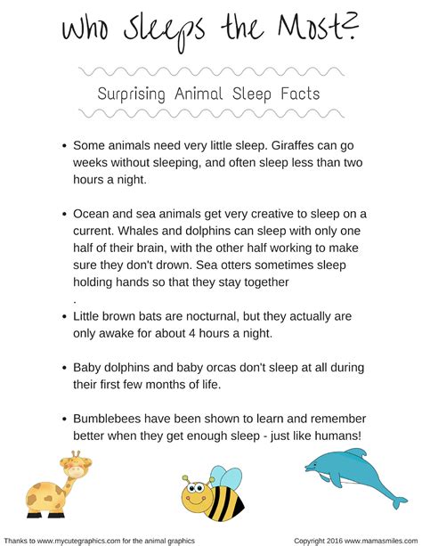 Who Sleeps the Most? Surprising Animal Sleep Facts | Animal activities ...