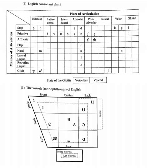 IPA Chart Definitions Diagram | Quizlet