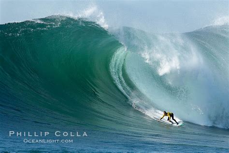 Mavericks Surf Contest 2006 – Natural History Photography Blog