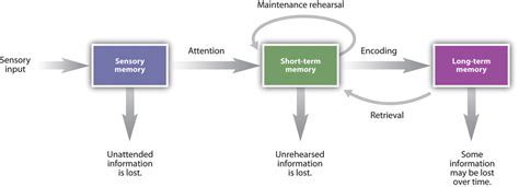 Memory - Brain-Based Learning